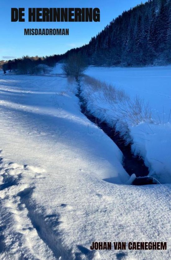 De herinnering - cover