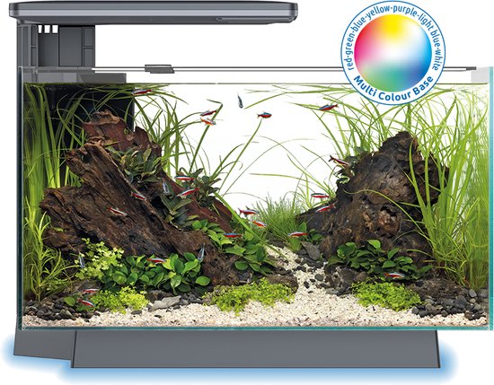 SuperFish Quadro 40 Multi Colour Aquarium - Met LED voet - Zwart | bol