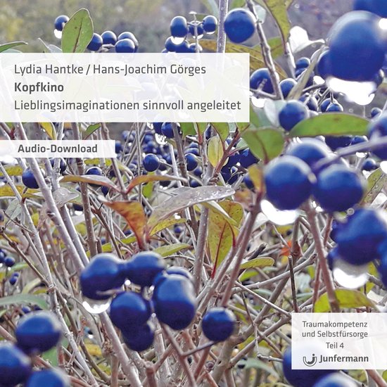 Kopfkino - Lieblingsimaginationen sinnvoll angeleitet - cover