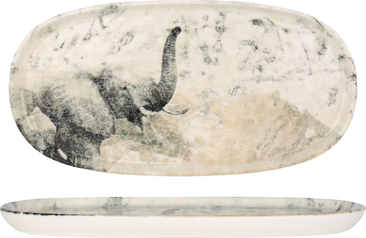 Rinart Serveerschaal - Masahi - Porselein - 30x15 cm - set van 2