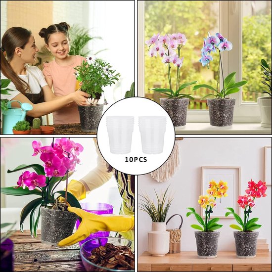 Kamerplant Cadeaubox Valentijnsdag - Roze Orchidee - Tuincentrum GroenRijk Den Bosch