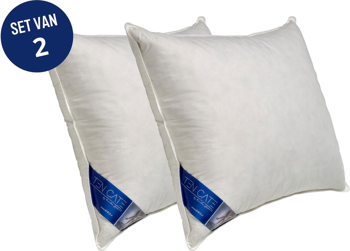 Ten Cate Hoofdkussen - Hoofdkussen Nekklachten - Kussen set van 2 - Eendendons & Eendenveren - Halfdons - Hoofdkussens - Geschikt voor rug-, zij- en buikslapers - Ergonomisch Kussen - 60x70 cm - 2 pack