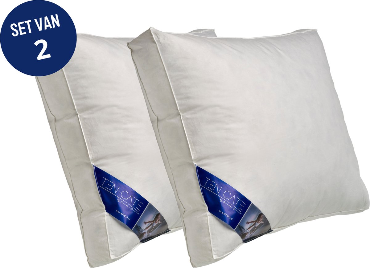 Ten Cate Hoofdkussen - Hoofdkussen Nekklachten - Kussen set van 2 Eendendons & Eendenveren - Halfdons - Hoofdkussens - Geschikt voor rug, zij- en buikslapers - Ergonomisch Boxkussen - 50x60 cm - 2 stuks Wit