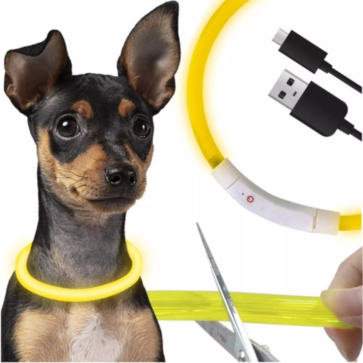 Purlov LED Halsband Huisdieren - Verstelbaar - Waterdicht - USB Oplaadbaar