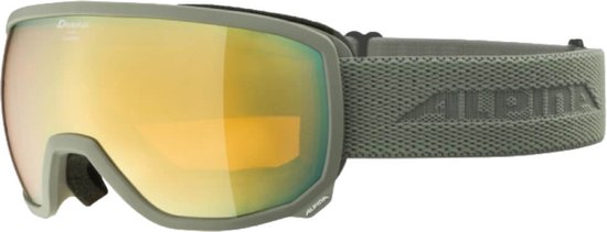 Alpina Scarabeo Q-Lite OTG Skibril | Grijs | Categorie 2