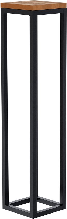 CLP Manteo Table d'appoint - métal et bois - Salon - Table basse en eikenhout - Table de canapé avec structure en métal - Table de chevet carrée 20x20x90 cm