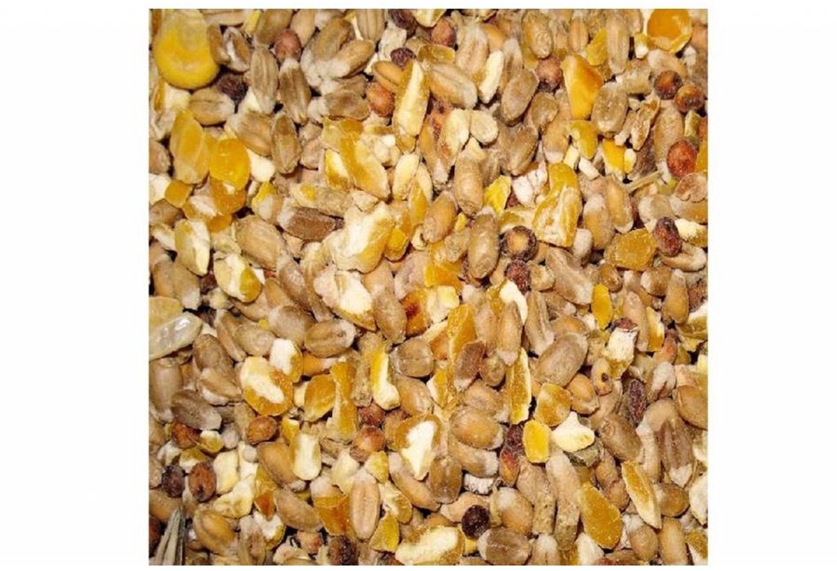 Boer'n Goed Gemengd Graan | 20 kg Pluimveevoer
