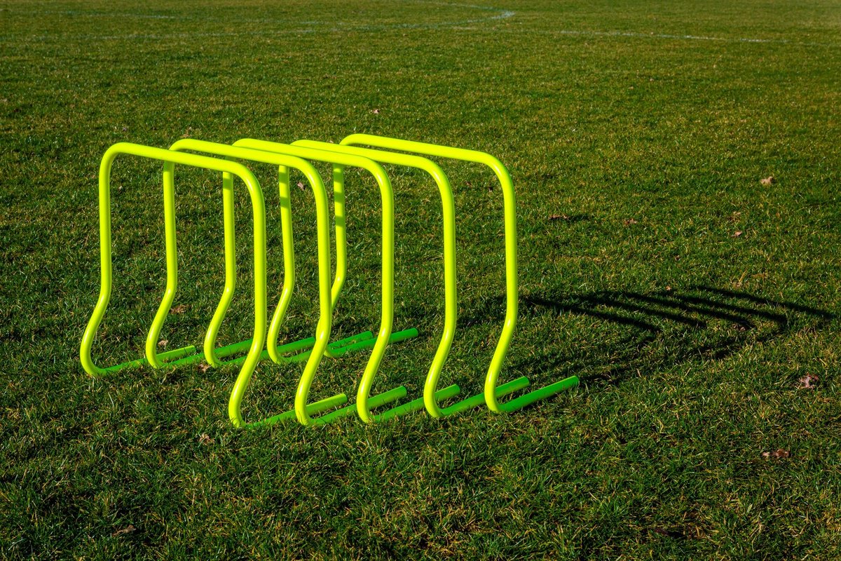 Set van 5 hagen - 45cm