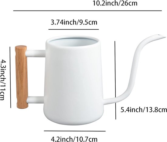 IMEEA Gieter voor kamerplanten, kleine gieter voor binnen, roestvrij staal, moderne decoratie, met lange uitloop, voor planten, bloemen, bonsai, outdoor, tuin, 1 liter, wit