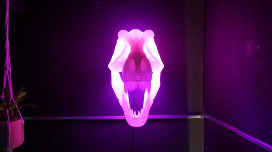 Trex Schedel RGB Lamp - Tyrannosaurus Dinosaurus Wandkunst - Unieke Woondecoratie, Gamingkamer, Kinder Nachtlampje, Bureau Decoratie van Merkloos — afbeelding 2