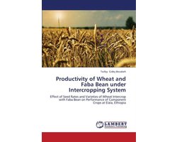 Productivity of Wheat and Faba Bean under Intercropping System