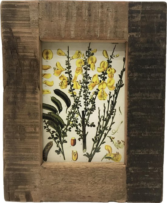 Bol Com Otentic Design Sloophouten Fotolijst 9x13 Naturel