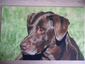 Deurmat 40x60 Labrador Bruin