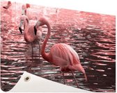 Roze flamingos in water met reflectie Tuinposter 200x100 cm - Foto op Tuinposter / Schilderijen voor buiten (tuin decoratie)