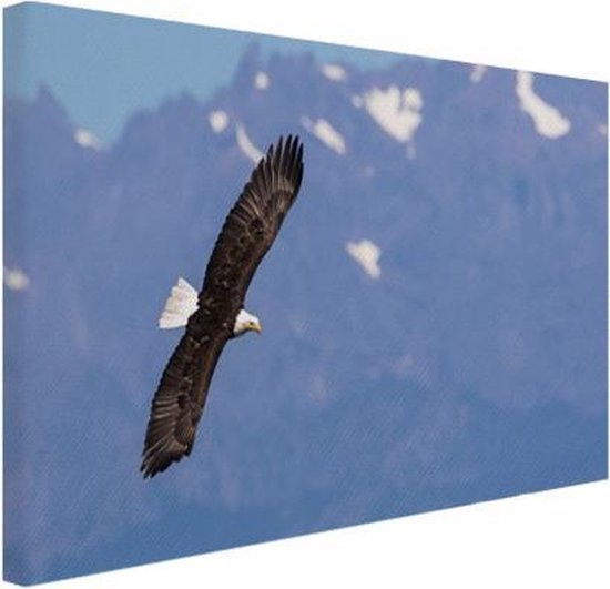 Aigle devant les montagnes Toile 120x80 cm - Tirage photo sur toile (Décoration murale salon / chambre) / Peintures sur toile Animaux