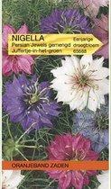 Nigella, Juffertje-in-het-groen Persian Jewels gemengd