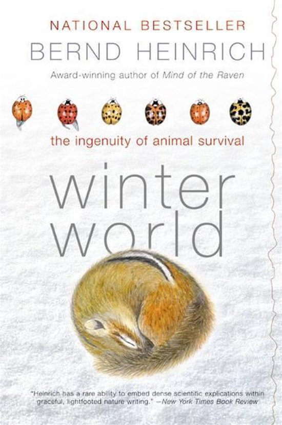 Winter World - cover
