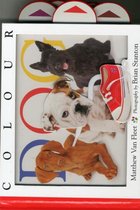 Colour Dog