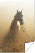 Poster Paard - Licht - Zand - 40x60 cm