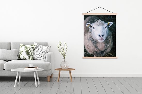 Porte-affiche avec affiche - Affiche scolaire - Moutons - Animaux - Bovins - 90x120 cm - lattes vierges