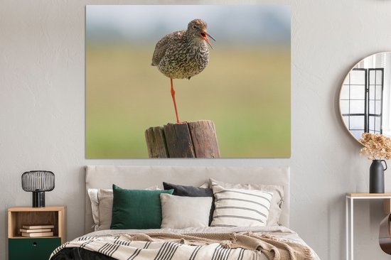 Redshank debout sur une jambe Toile 160x120 cm - Tirage photo sur toile (Décoration murale salon / chambre) XXL / Groot format!