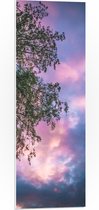 PVC Schuimplaat- Boom met Paars Blauwe Lucht - 30x90 cm Foto op PVC Schuimplaat