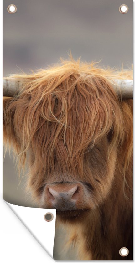 Affiche de jardin Highlander écossais - Cornes - Cheveux - 30x60 cm - Toile de jardin - Affiche extérieure