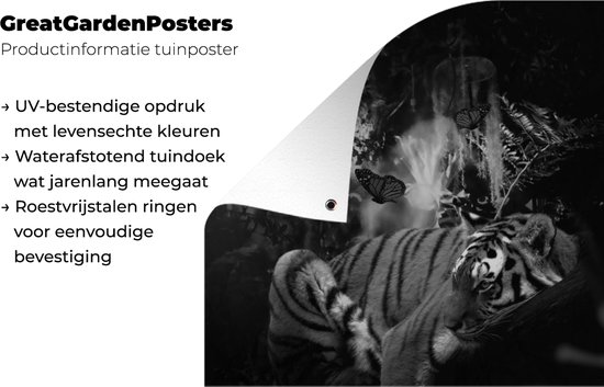 Posters de jardin Tigre et papillons dans la jungle - noir et blanc - 60x90 cm - Toile jardin