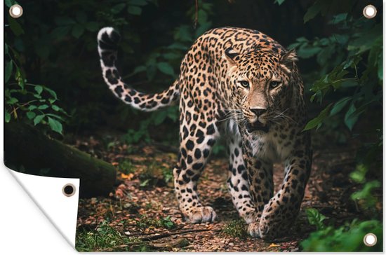 Affiche de jardin - Toile de jardin - Posters de jardin extérieur - Animaux sauvages - Léopard - Jungle - Nature - 120x80 cm - Jardin