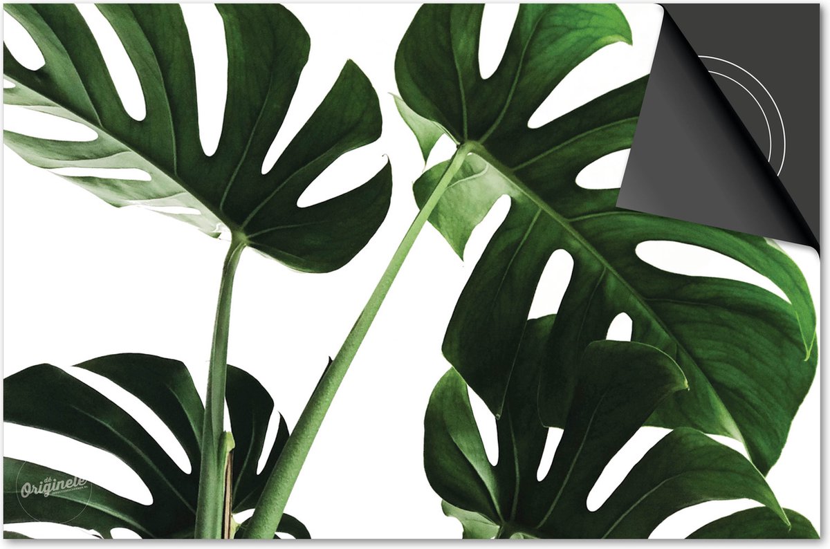 Inductie beschermer 81x52 - afdekplaat inductie mat - Dietrix Kookplaat beschermer - Exclusief - Bloemen en Planten - Monstera Licht