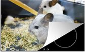 KitchenYeah® Inductie beschermer 80.2x52.2 cm - Een Wit-grijze gekleurde Chinchilla in een kooi - Kookplaataccessoires - Afdekplaat voor kookplaat - Inductiebeschermer - Inductiemat - Inductieplaat mat