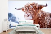 Behang - Fotobehang Schotse hooglander - Sneeuw - Winer - Breedte 345 cm x hoogte 220 cm