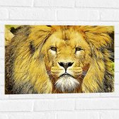 WallClassics - Muursticker - Bruin Gele Leeuw - 60x40 cm Foto op Muursticker