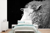 Behang - Fotobehang Slapend schaap in het stro - zwart wit - Breedte 450 cm x hoogte 300 cm