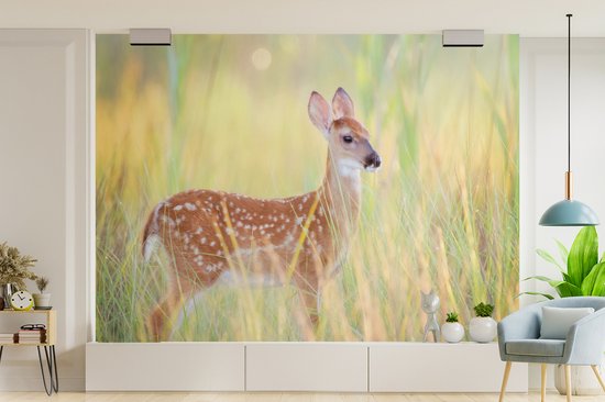 Papier peint Papier peint photo en vinyle - Daim au lever du soleil largeur 385 cm x hauteur 280 cm - Tirage photo sur papier peint (disponible en 7 tailles)