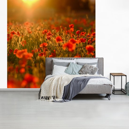 Behang - Fotobehang Oranje gloed over de Klaprozen in het veld - Breedte 220 cm x hoogte 220 cm