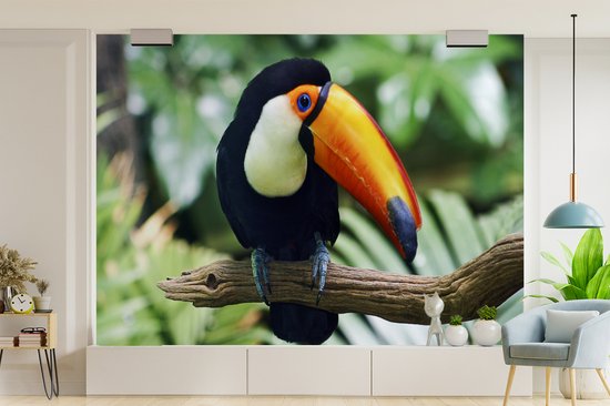 Papier peint Papier peint photo en vinyle - Toucan dans un zoo de New York largeur 330 cm x hauteur 240 cm - Tirage photo sur papier peint (disponible en 7 tailles)