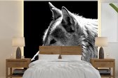 Behang - Fotobehang Wilde dieren - Wolf - Zwart - Wit - Breedte 240 cm x hoogte 240 cm