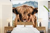 Behang - Fotobehang Koeien - Schotse hooglander - Bruin - Natuur - Breedte 190 cm x hoogte 260 cm