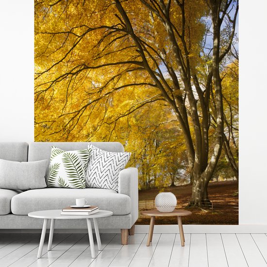 Behang - Fotobehang Gele bladeren in de bossen van het Engelse Nationaal park New Forest - Breedte 200 cm x hoogte 220 cm