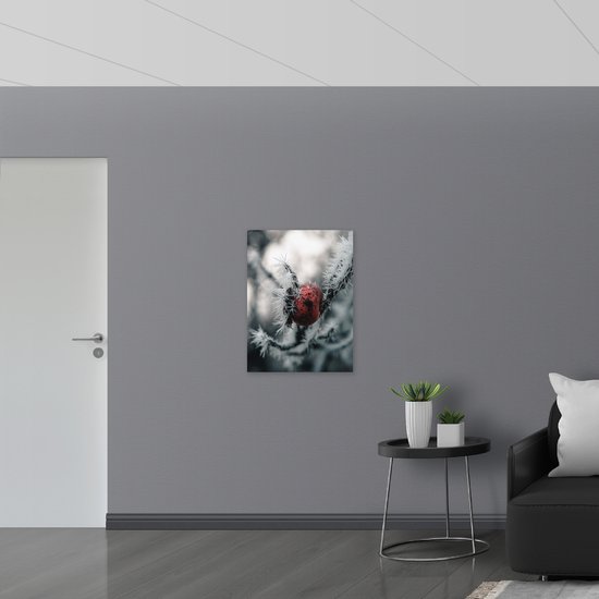 Poster (Mat) - Rozenbottelvrucht aan Bevroren Tak - 60x80 cm Foto op Posterpapier met een Matte look