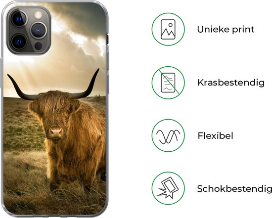 Coque iPhone 13 Pro - Highlander écossais - Soleil - Animaux - Siliconen