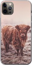 Geschikt voor iPhone 12 Pro Max hoesje - Schotse Hooglanders - Sneeuw - Zon - Siliconen Telefoonhoesje