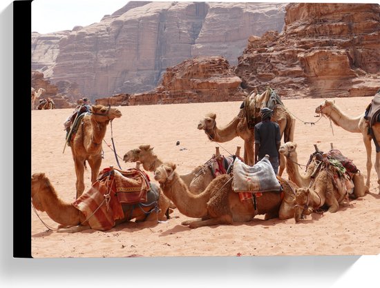 WallClassics - Canvas - Kamelen in de Woestijn - 40x30 cm Foto op Canvas Schilderij (Wanddecoratie op Canvas)