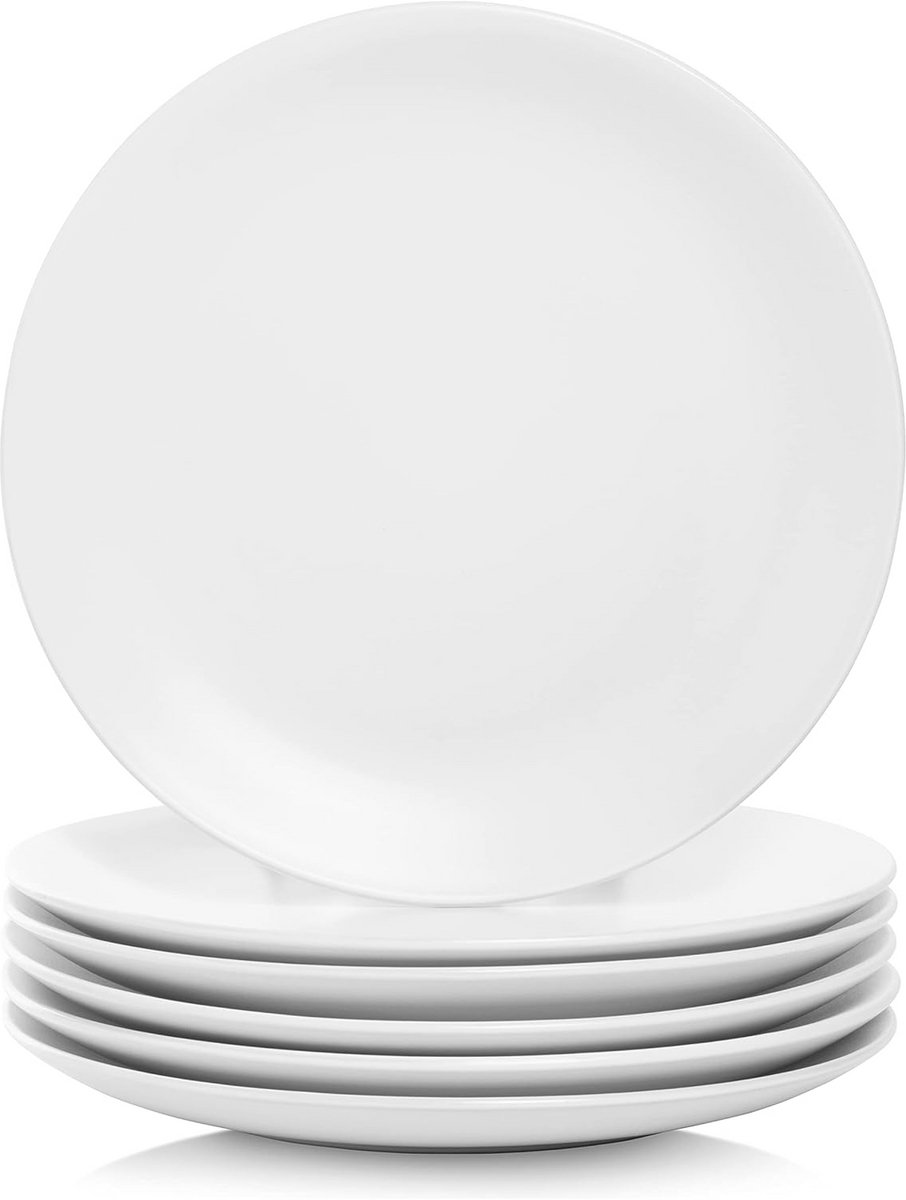 Matte Stoneware Dinner Plate - White - Minimalist Design
