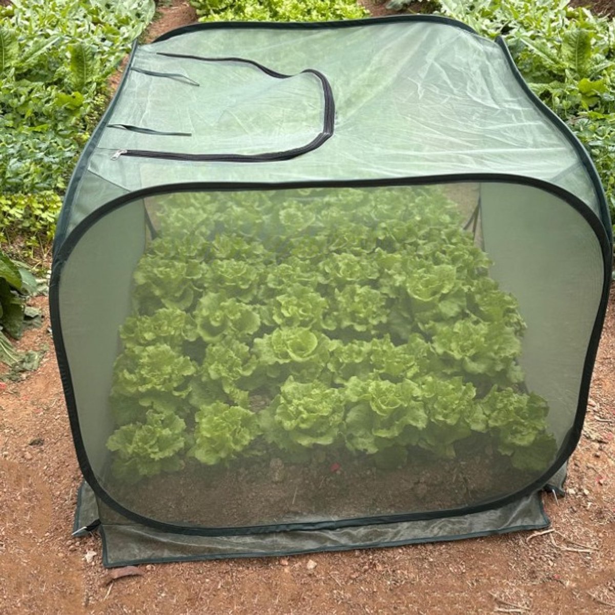 2 stuks Plant Cover, muggenbescherming, insect-bescherming, stof-bescherming, dieren-bescherming, groente bloemen teelt mand, opvang, bloem cover bescherming, 90 * 90 * 80cm