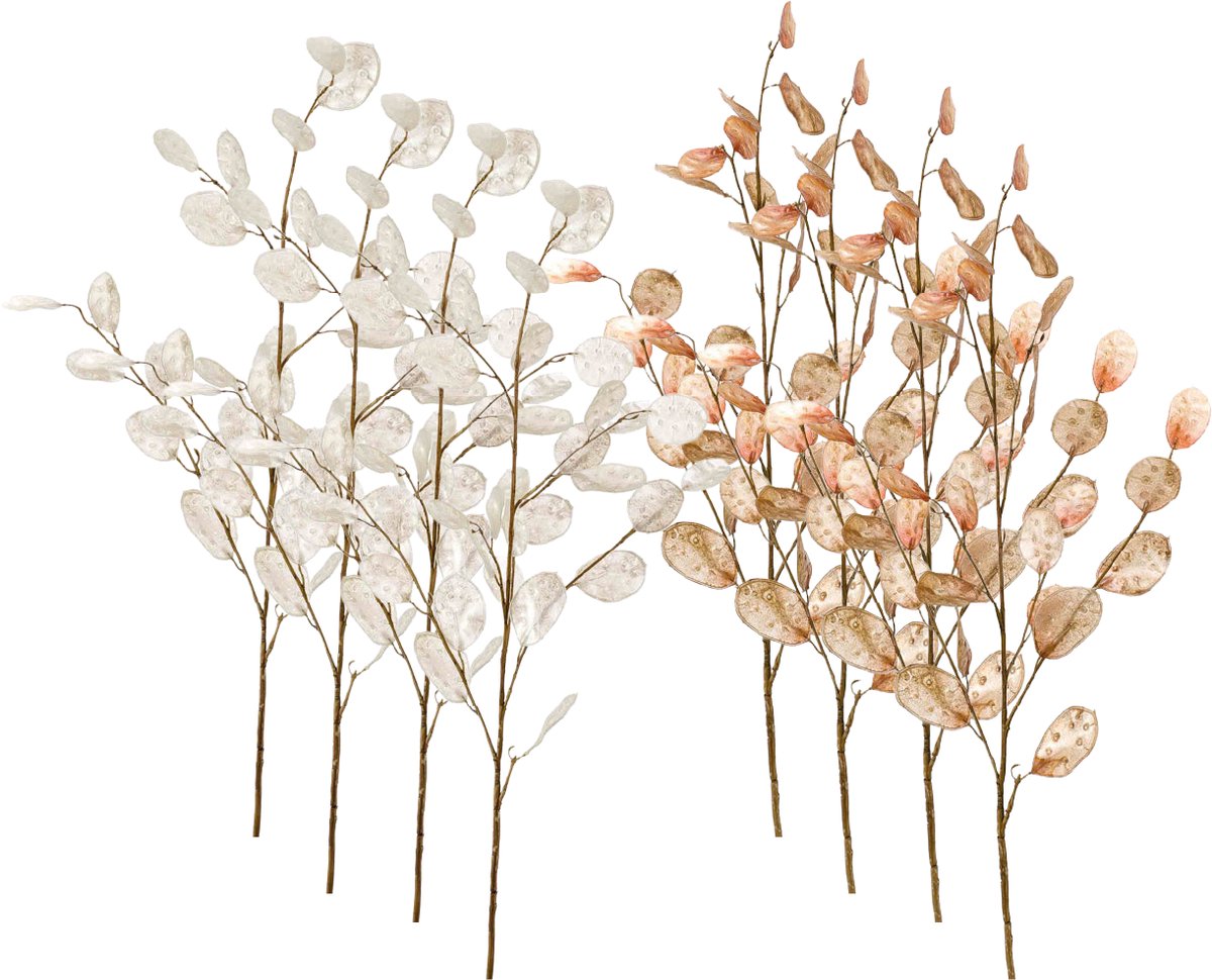 Emerald Kunstbloem Judaspenning 105cm - Set van 8 - Kunstplant voor binnen Wit & Bruin - Set van 8