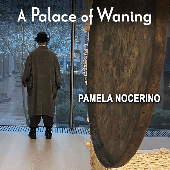 A Palace of Waning - cover