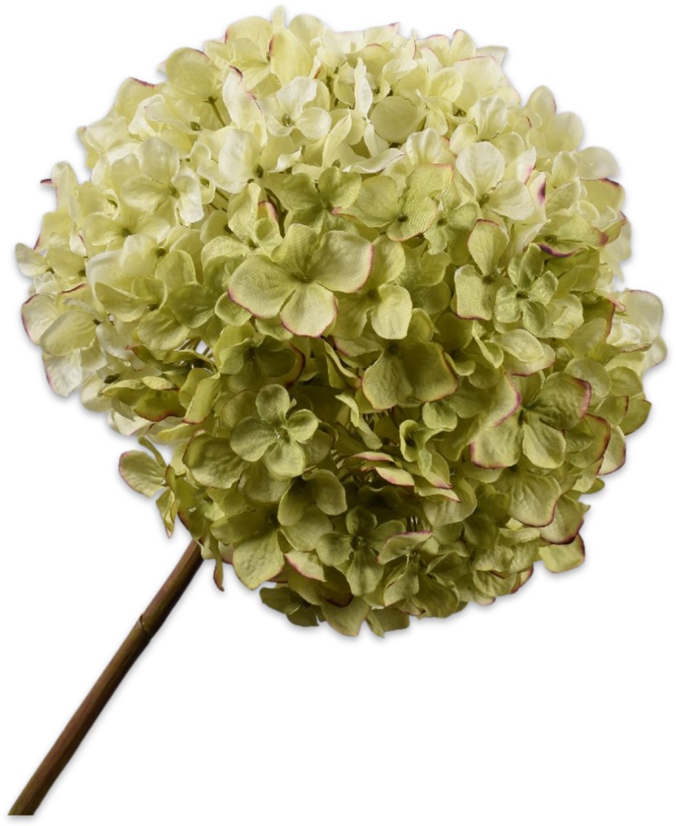 Silk-ka Hortensia tak groen/roze 79 cm