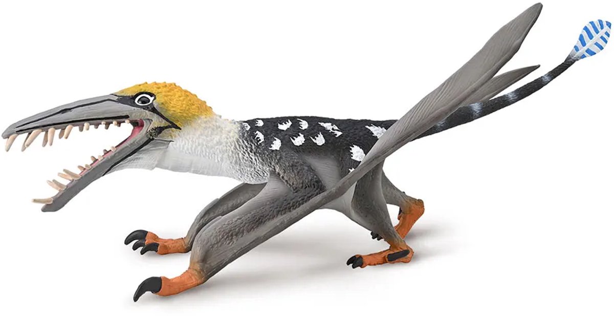 COLLECTA Figurine - Dearc Sgiathanach - 1:3 - Prehistorie - Handgeschilderd - Dinosaurus